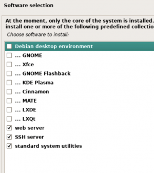 Software selections for debian 11
